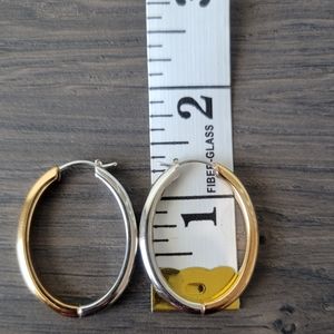 Fossil Hoop Earrings